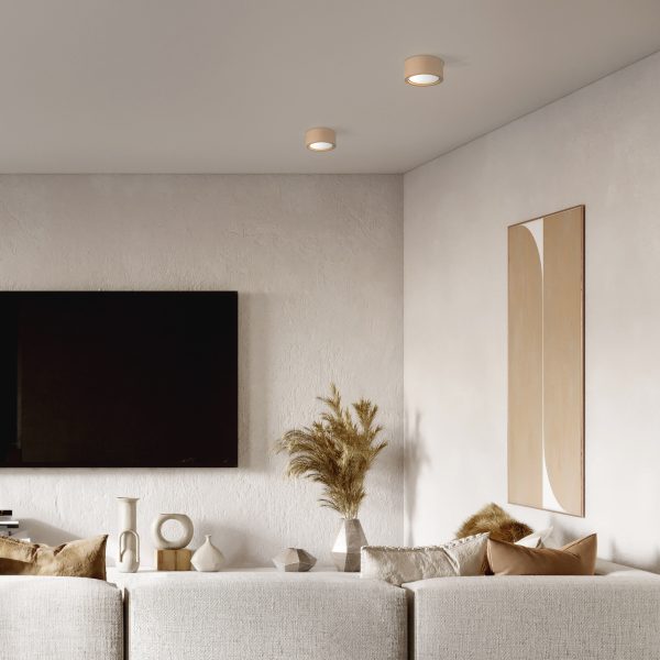 Le titre du produit en français est : "LAMPE DE PLAFOND EVE WOOD BUK 1