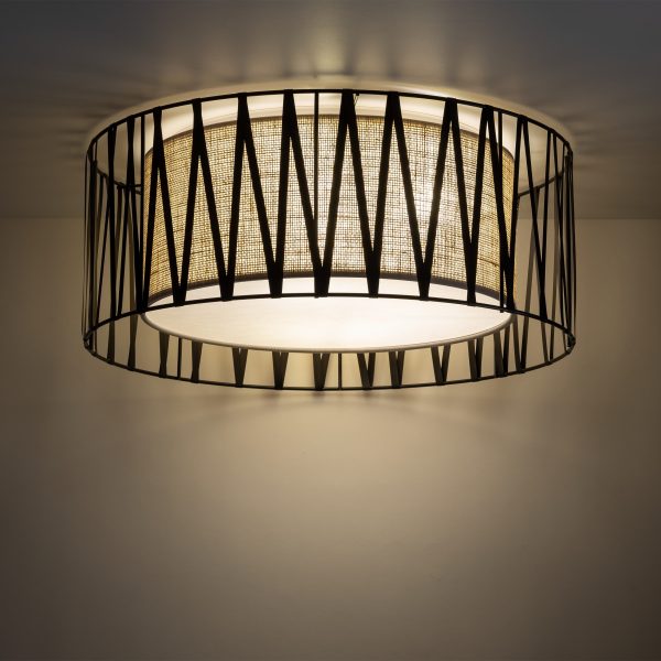 Le titre du produit en français serait : "HARMONY NATURE LAMPE PLAFONNIÈRE 4 500