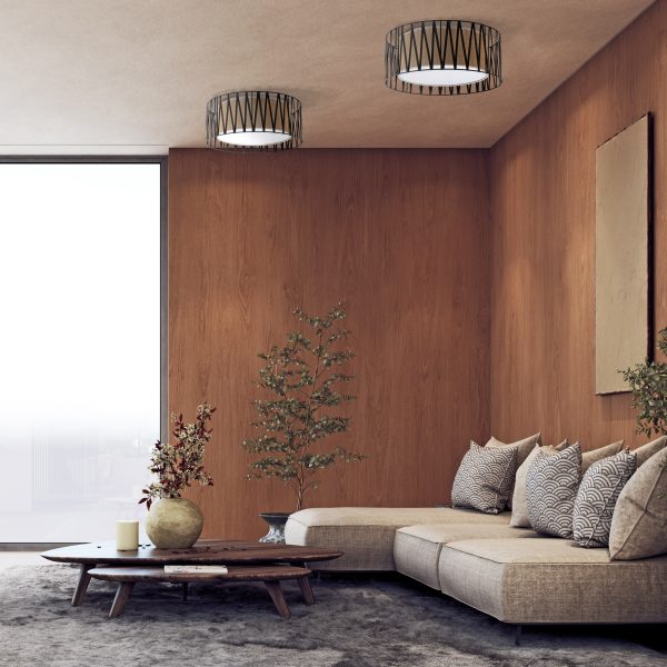 Le titre du produit en français serait : "HARMONY NATURE LAMPE PLAFONNIÈRE 4 500