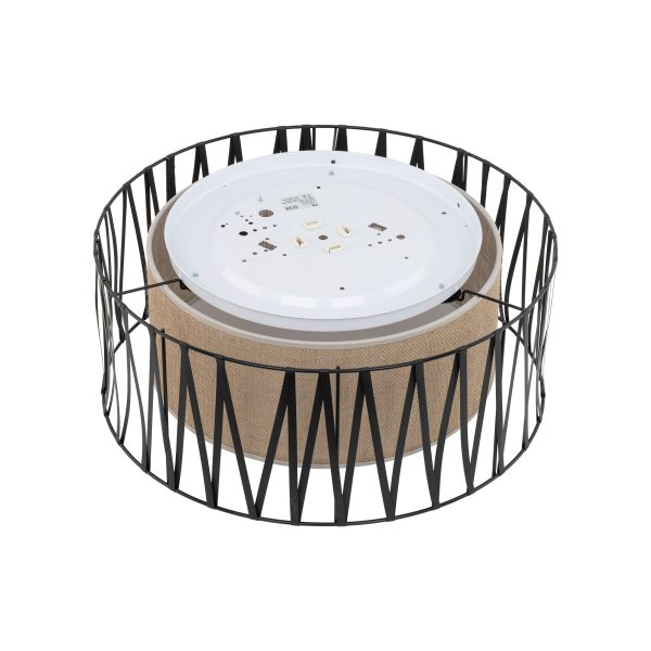 Le titre du produit en français serait : "HARMONY NATURE LAMPE PLAFONNIÈRE 4 500