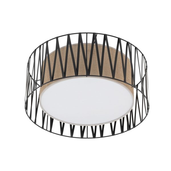 Le titre du produit en français serait : "HARMONY NATURE LAMPE PLAFONNIÈRE 4 500