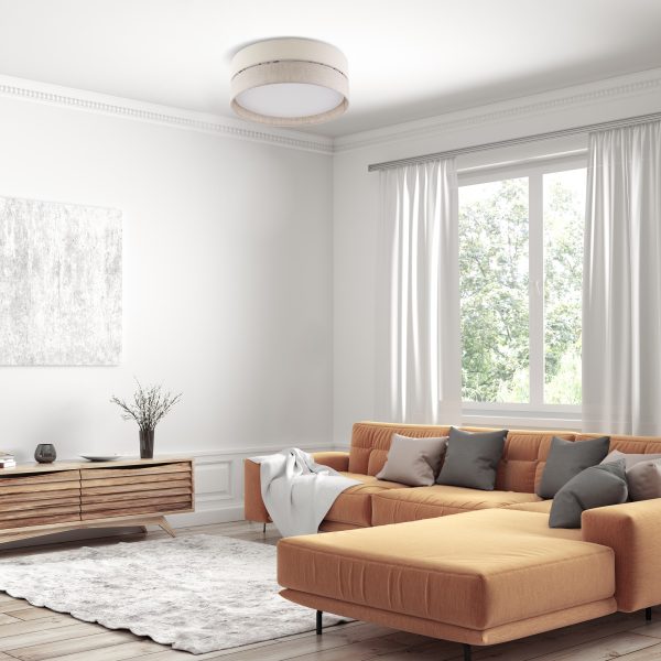 Titre du produit en français : "LAMPE DE PLAFOND ÉCO 4 450